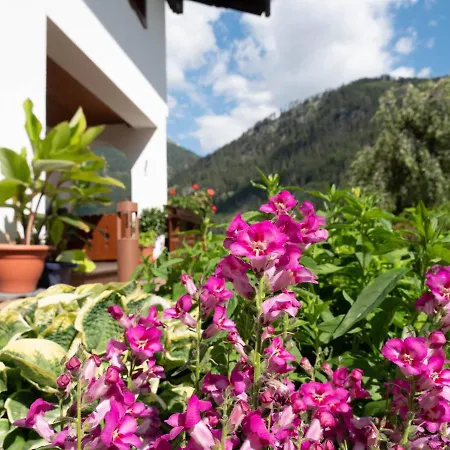 Haus Marianne ザンクト・ヤーコプ・イン・デフェルエッゲン