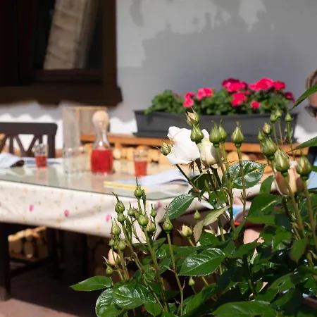 Daire Haus Marianne *