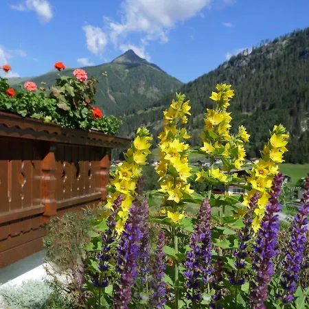 Haus Marianne ザンクト・ヤーコプ・イン・デフェルエッゲン