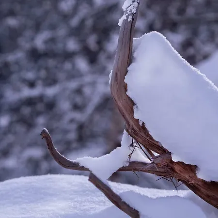 Haus Marianne Daire *