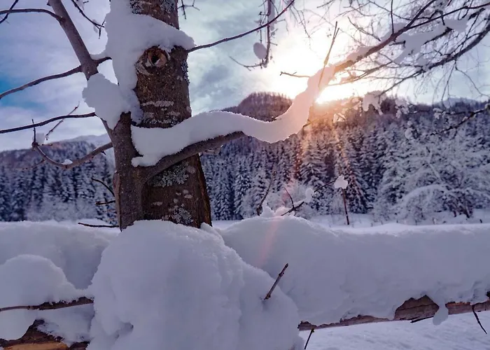 Apartman Haus Marianne